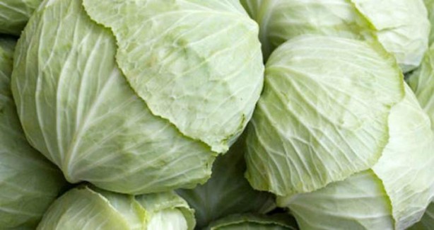 Foto - Kalbi koruyup kanseri uzak tutuyor! Lahananın faydaları saymakla bitmiyor