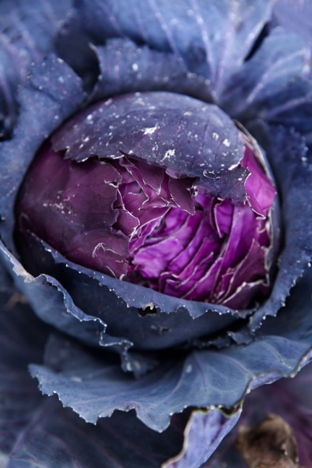 Foto - Kalbi koruyup kanseri uzak tutuyor! Lahananın faydaları saymakla bitmiyor