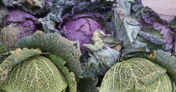 Foto - Kalbi koruyup kanseri uzak tutuyor! Lahananın faydaları saymakla bitmiyor