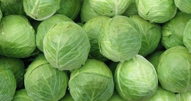 Foto - Kalbi koruyup kanseri uzak tutuyor! Lahananın faydaları saymakla bitmiyor