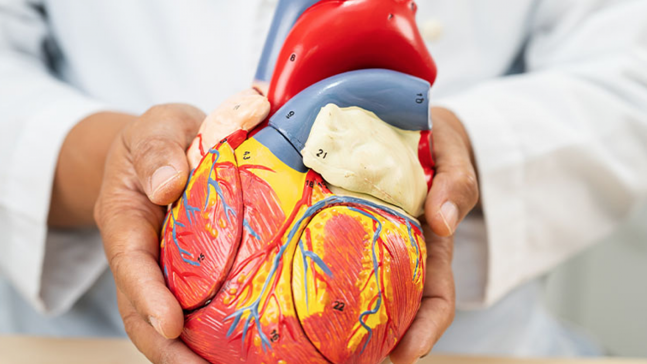 Foto - Kalp çarpıntısı! İşte altında yatan 10 önemli neden! Kalp çarpıntısı neden olur? 