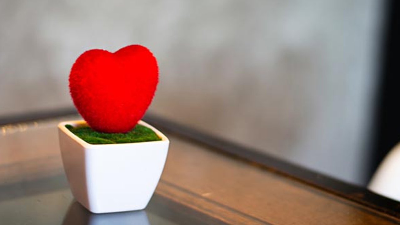 Kalp diyeti ile 3 günde 10 kilo verin: Bunu yapın etki yaptı! 