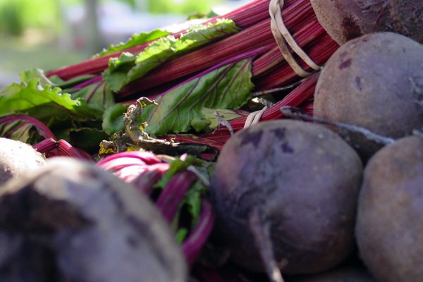 Foto - Kalp dostu pancarın 5 faydası