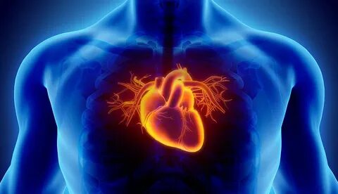 Foto - Kalp durmasından kurtulma şansı nedir?