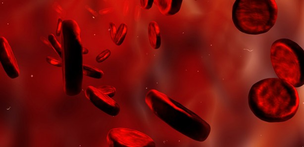 Foto - Kalp hastalıklarına karşı 10 doğal kan sulandırıcı