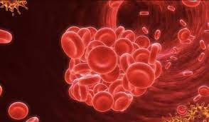 Foto - Kalp hastalıklarına karşı 10 doğal kan sulandırıcı