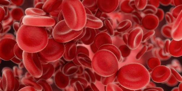 Foto - Kalp hastalıklarına karşı 10 doğal kan sulandırıcı