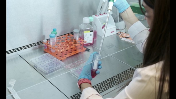 Foto - Kalp krizi sonrası hasarlı dokuyu iyileştirecek biyomalzeme geliştirilecek