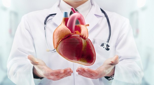 Foto - Kalp krizini tetikleyen 4 ana sebep