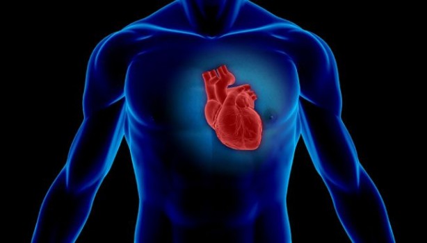 Foto - Kalp krizini tetikleyen 4 ana sebep