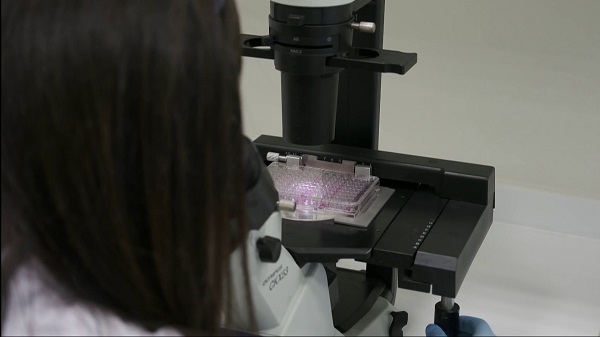 Foto - Kalp sağlığı için çok konuşulacak çalışma