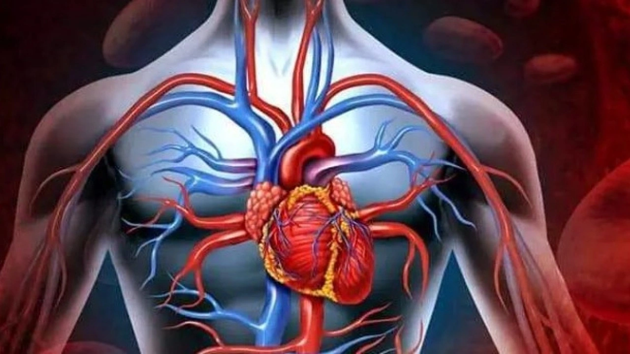 Foto - Kalp sağlığına iyi geliyor: İşte pis kanı temizleyen besinler! 