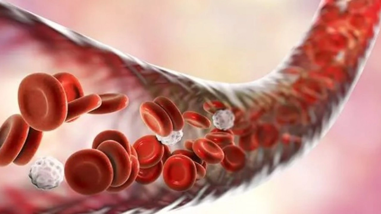 Kalp sağlığına iyi geliyor: İşte pis kanı temizleyen besinler! 