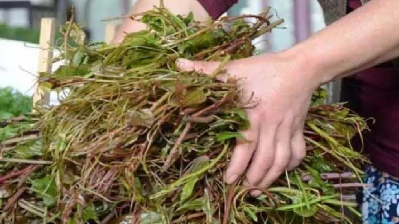 Foto - Kalp sağlığına iyi geliyor: İşte pis kanı temizleyen besinler! 