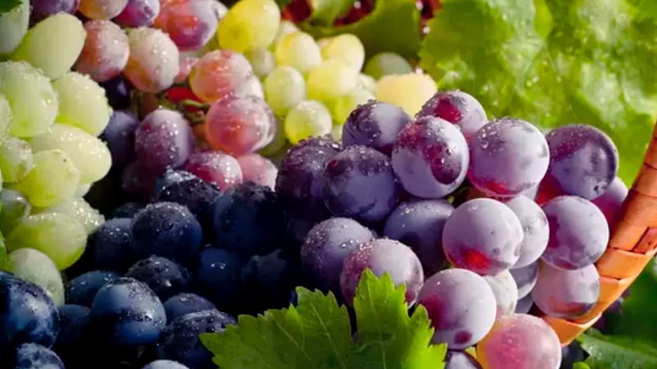 Foto - Kalp sağlığından cilt bakımına 1 kaşığı sağlık bombası: Ödemi yok eden, alerji hafifleten mucizevi toz! 