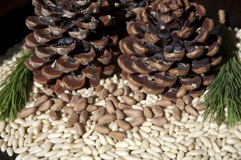 Foto - Kalp ve diyabet için çok etkili! Biz de yüzüne bakılmıyor, Fransızların bir numarası