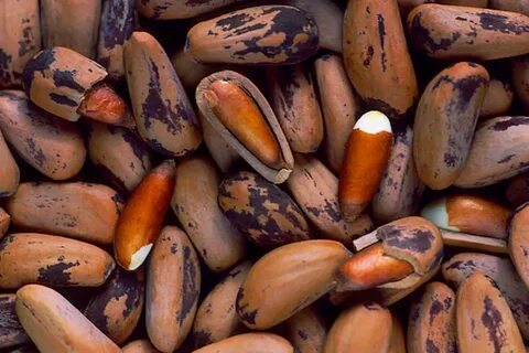 Foto - Kalp ve diyabet için çok etkili! Biz de yüzüne bakılmıyor, Fransızların bir numarası