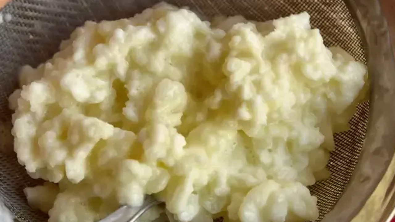 Kalsiyum emilimini yüzde 65'e çıkarıyor! Süt ve yoğurt yerine bunu tüketin! Doğal kefir ile sağlıklı yaşam