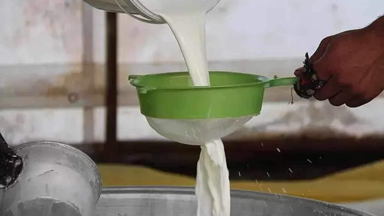 Foto - Kalsiyum emilimini yüzde 65'e çıkarıyor! Süt ve yoğurt yerine bunu tüketin! Doğal kefir ile sağlıklı yaşam