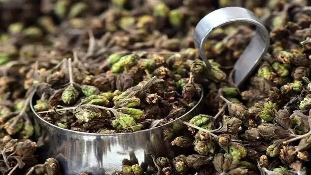 Foto - Kalsiyum, manganez ve demir zengini! Doğal antibiyotiği oymuş!