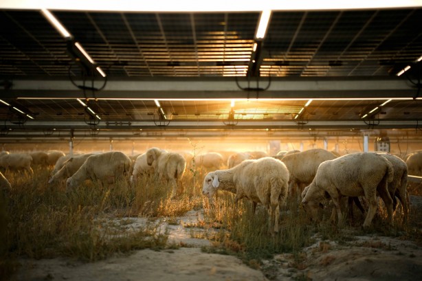 Foto - Kalyon Enerji’den sürdürülebilirlik yolunda önemli adım!