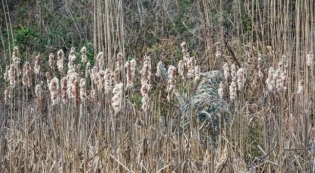 Foto - Kamufle olmuş askerleri görebilecek misiniz?