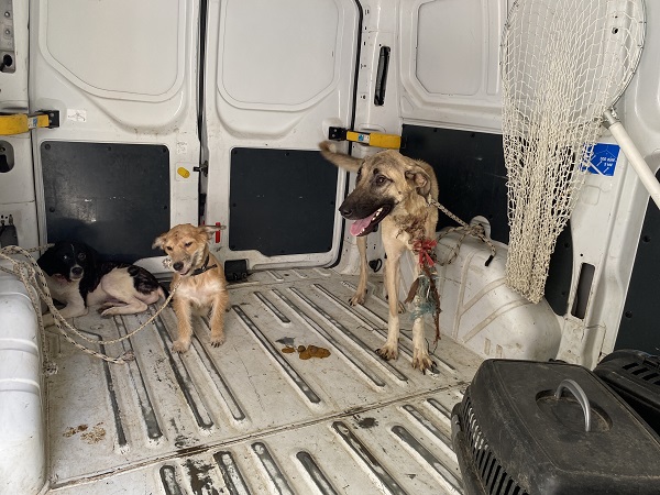 Foto - Kamyon kamyon boşaltıldı! Bakın o çöp evden neler çıktı