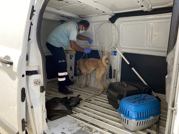 Foto - Kamyon kamyon boşaltıldı! Bakın o çöp evden neler çıktı