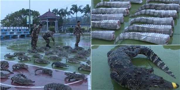 Foto - Kamyonun içinden öyle şeyler çıktı ki herkes dehşete düştü!