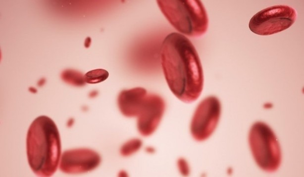 Foto - Kan dolaşımına iyi gelen 5 bitki