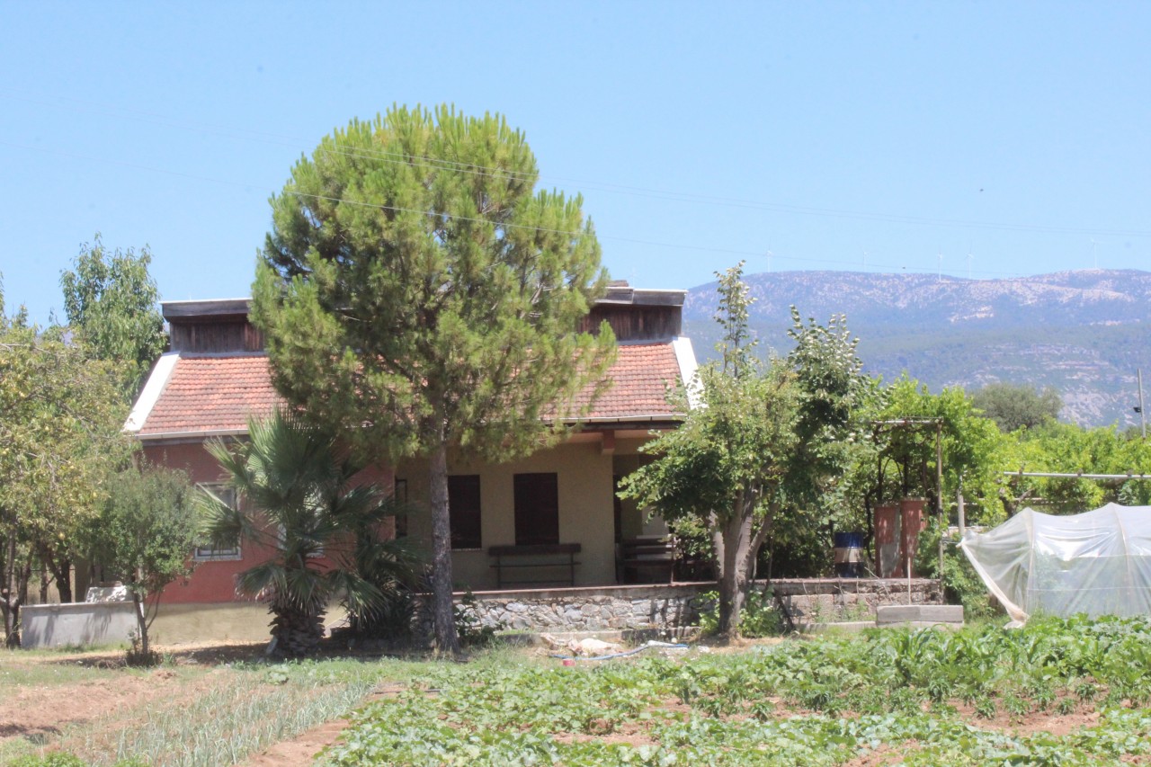 Foto - Kan donduran cinayette başa dönüldü