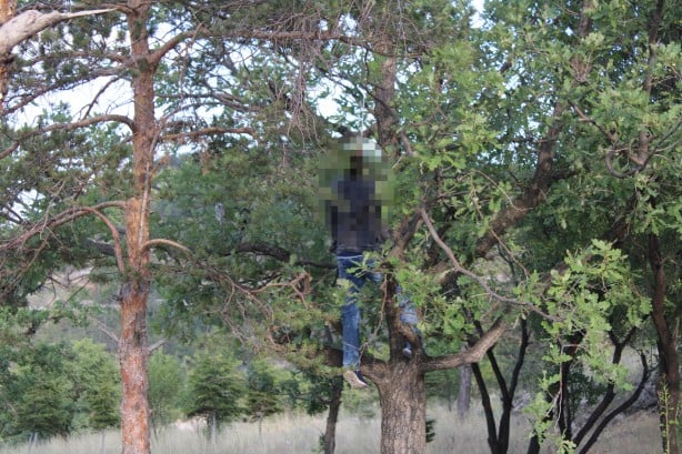 Foto - Kan donduran görüntü! Ağaca asılı halde bulundu