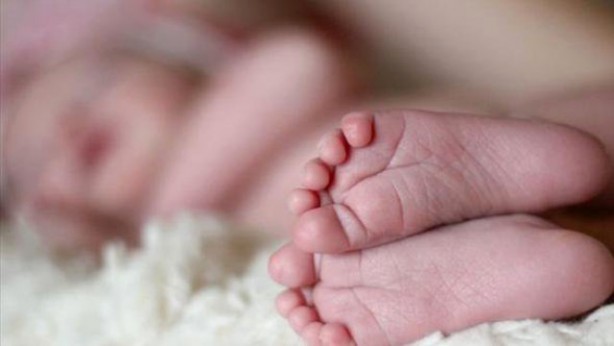Foto - Kan donduran ifadeler! Genleriyle oynanmış ilk bebekler dünyaya geldi