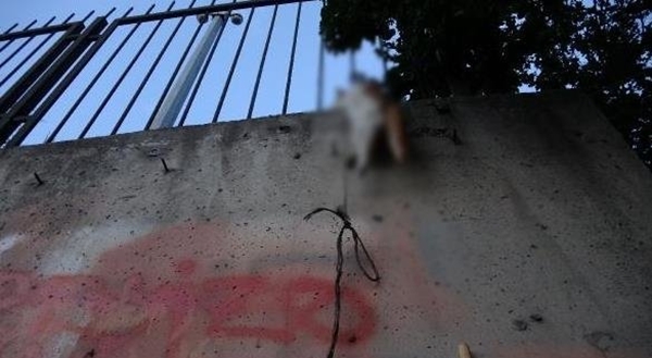 Foto - Kan donduran vahşet! Boğazından iple asarak katlettiler