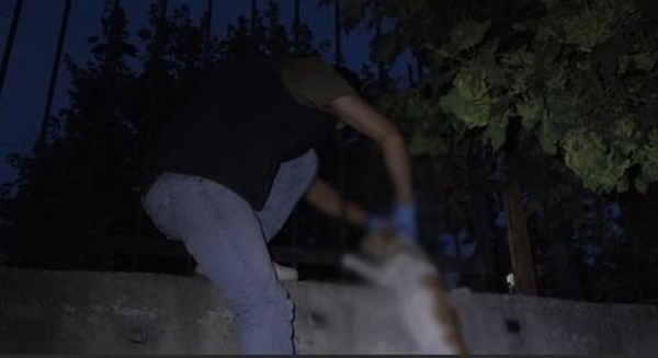 Foto - Kan donduran vahşet! Boğazından iple asarak katlettiler