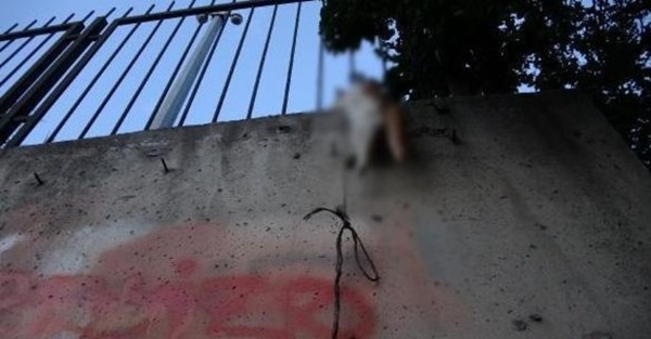 Kan donduran vahşet! Boğazından iple asarak katlettiler