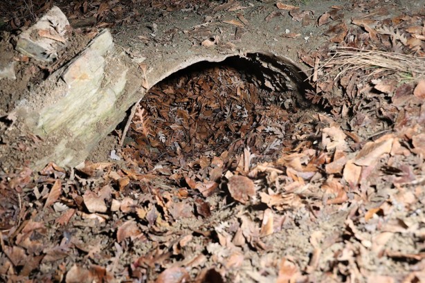 Foto - Kan donduran vahşet! "Vay namussuz vay" dedirten gelişme! Tüm Türkiye, bu yaşananları duyunca şok oldu