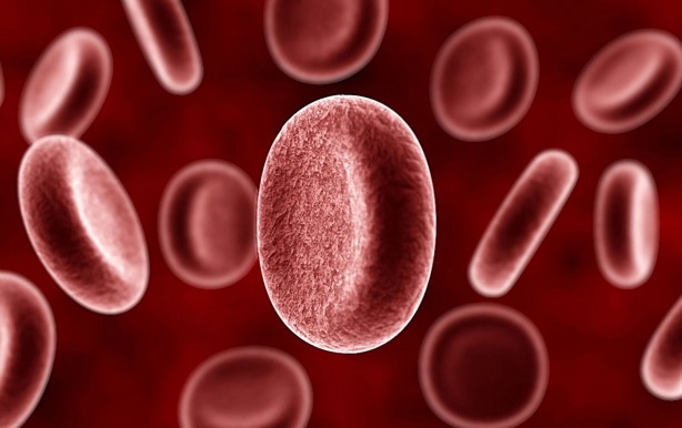 Kanı temizleyen besinler