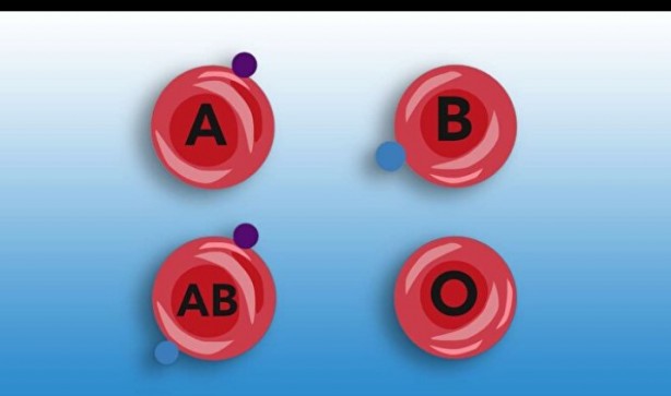 Foto - Kan grubunuz kişiliğinizi ele veriyor! İşte dikkat çeken özellikler