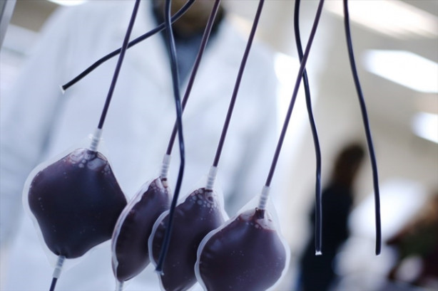 Foto - Kan hangi aşamalardan geçip hastanelere ulaştırılıyor?