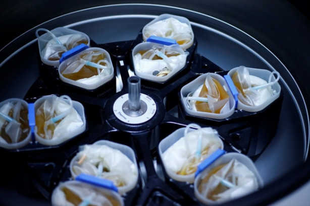 Foto - Kan hangi aşamalardan geçip hastanelere ulaştırılıyor?