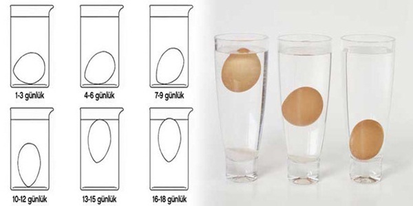 Foto - Kan pıhtısı olan yumurtayı yemek zararlı mı?