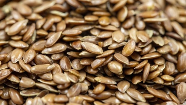 Kan şekerini anında dengeliyor! Diyabetin doğal ilacı olarak biliniyor