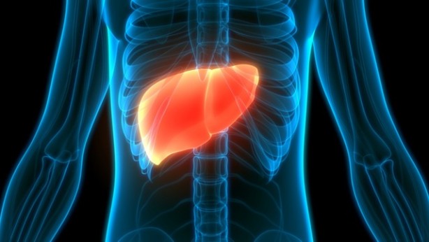 Foto - Kan şekerini dengede tutmanın yolunu açıklıyoruz! Glisemik indeksi düşük gıdalar nelerdir!