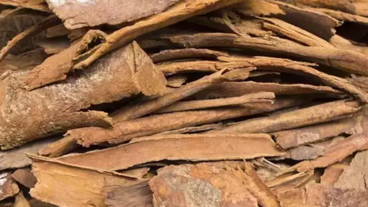 Foto - Kan şekerini terazi gibi dengeliyor! Yemeklerin üstüne biraz serpmek yeterli: Antioksidan şelalesi, sindirimi makine gibi çalıştırıyor