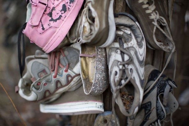 Foto - Kanada’da keşfedilen gizemli ayakkabı ormanı