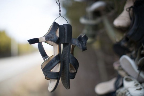 Foto - Kanada’da keşfedilen gizemli ayakkabı ormanı