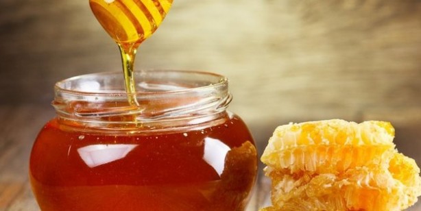 Foto - Kandaki zehri atan ilaç gibi besin kudret narı: Bilinmeyen bir özelliğini keşfettiler: Hafızaya iyi gelen süper besin