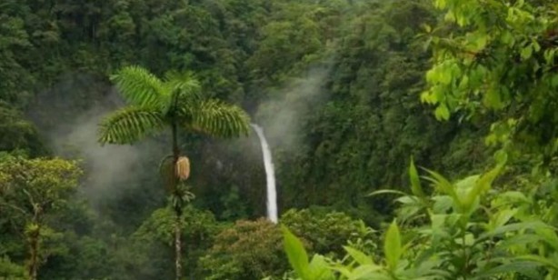 Foto - Kandaki zehri atan ilaç gibi besin kudret narı: Bilinmeyen bir özelliğini keşfettiler: Hafızaya iyi gelen süper besin