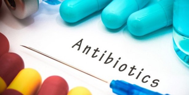 Foto - Kandaki zehri atan ilaç gibi besin kudret narı: Bilinmeyen bir özelliğini keşfettiler: Hafızaya iyi gelen süper besin